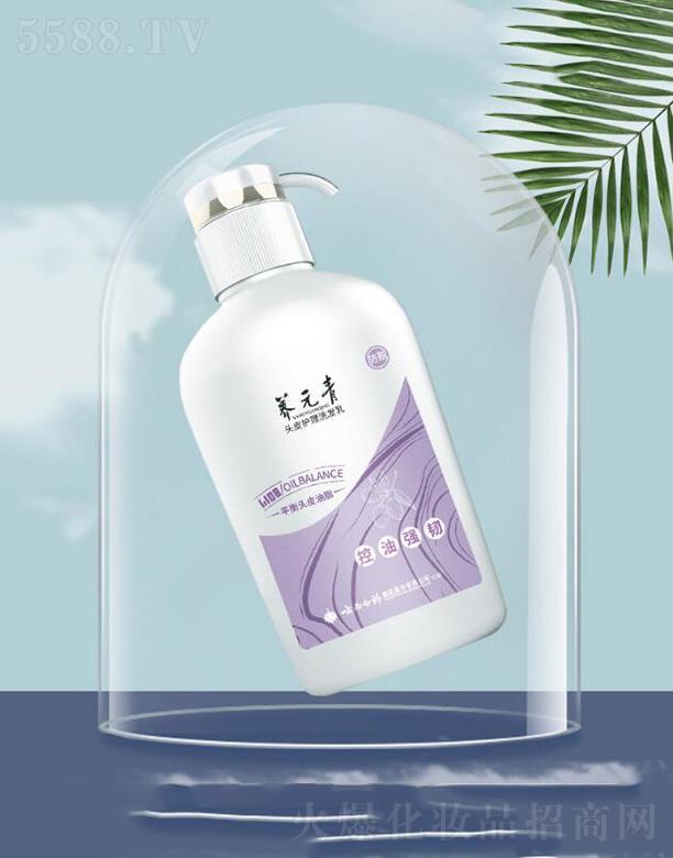 ���ϰ�ˎ�BԪ��ϴ�lˮ ���͏��g�L�l  ��ͥ�bŮʿ����500ml