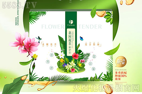 �tʩ�����g�������o��
